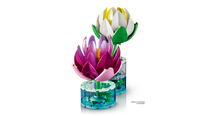 Water Lilies