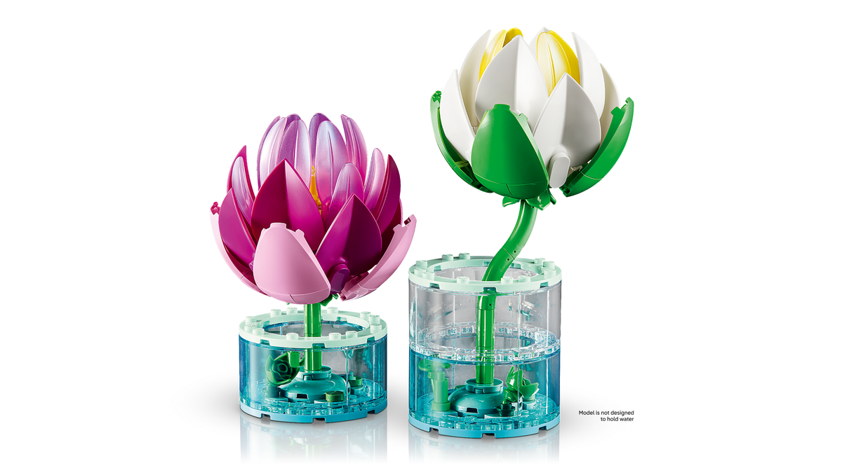 Water Lilies