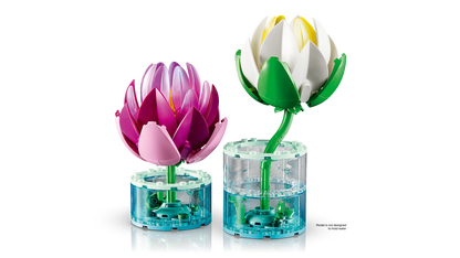 Water Lilies