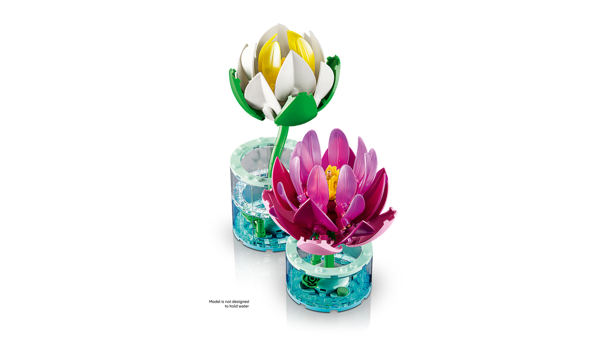 Water Lilies