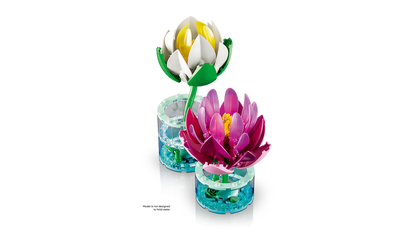 Water Lilies