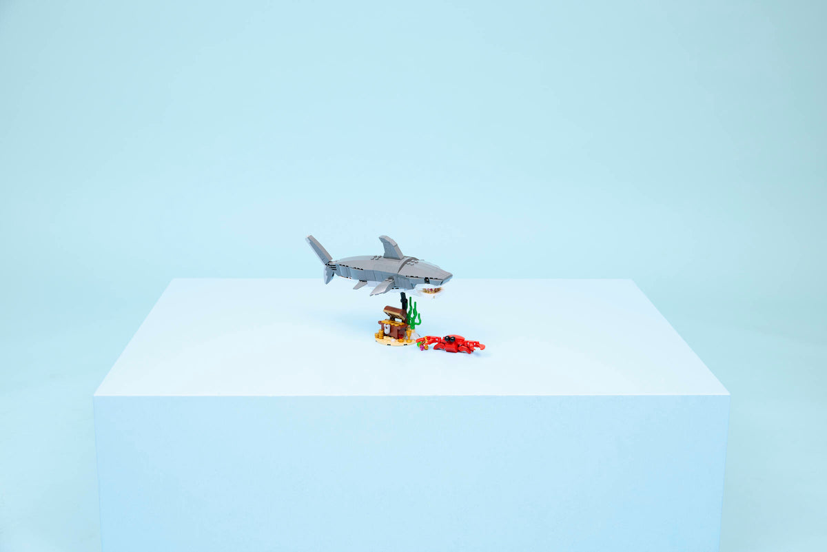 Fierce Shark with a Treasure Chest