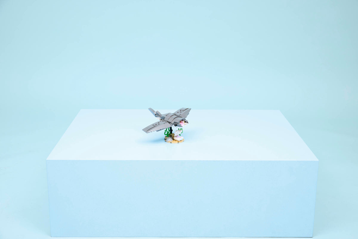 Fierce Shark with a Treasure Chest