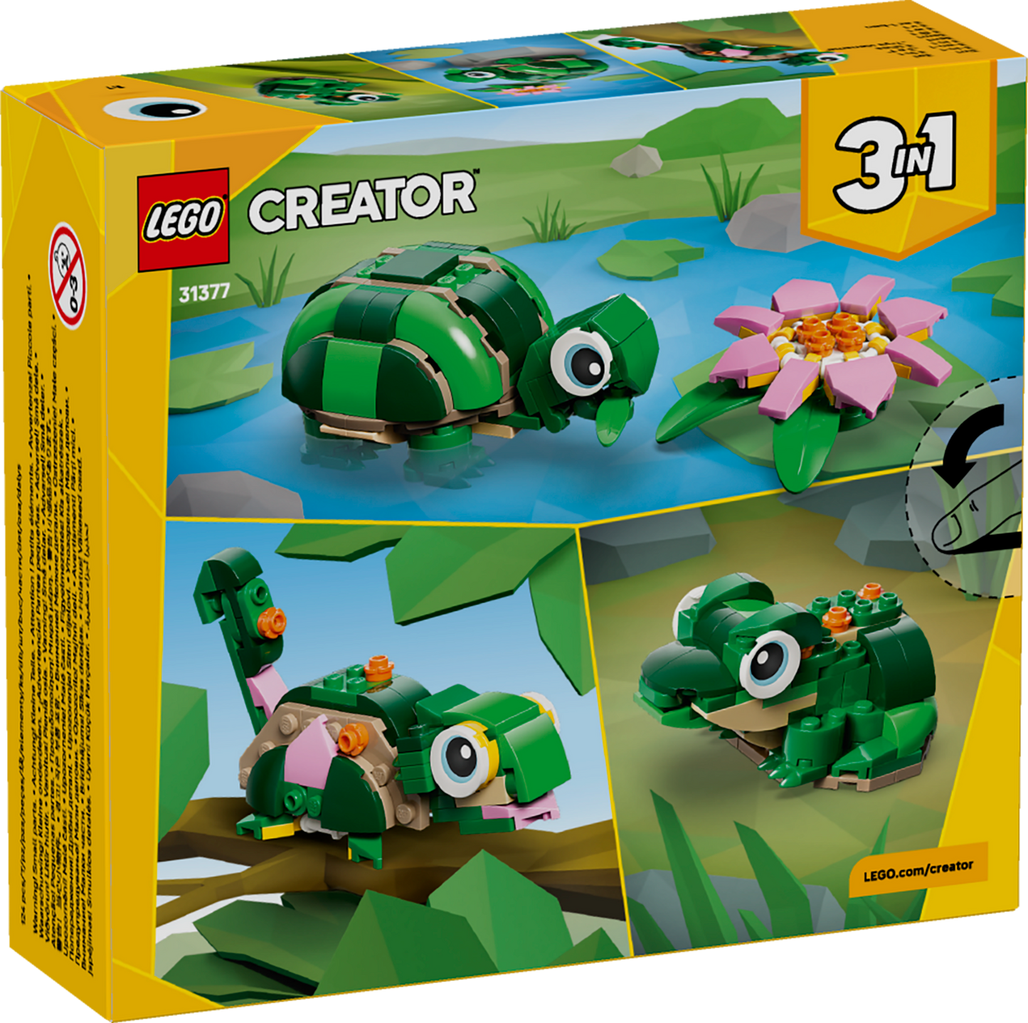 Turtle with a Water Lily Flower