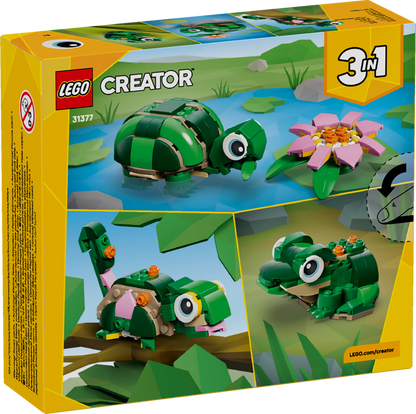 Turtle with a Water Lily Flower