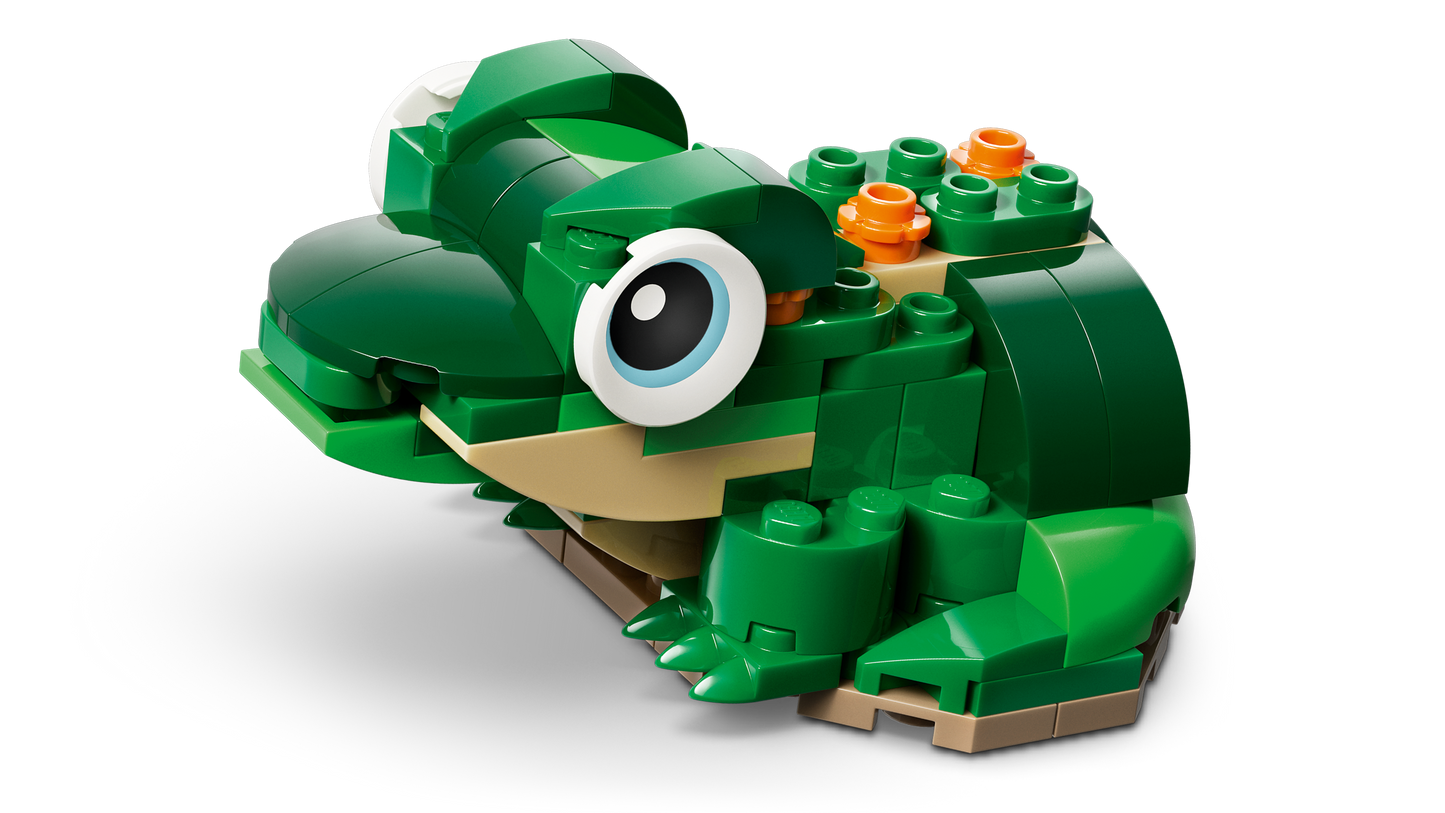 Turtle with a Water Lily Flower