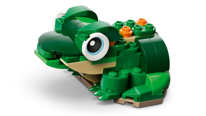 Turtle with a Water Lily Flower