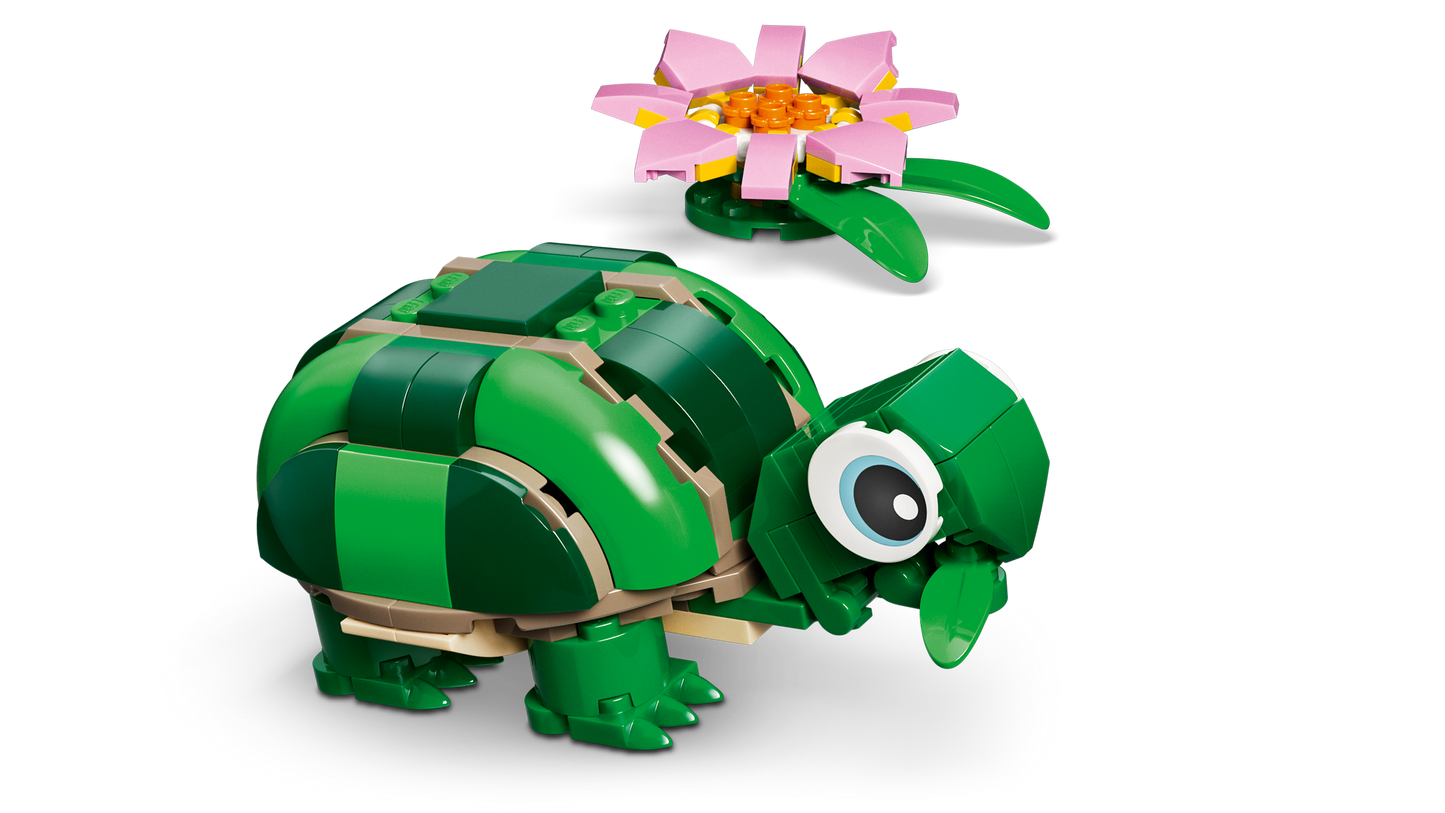 Turtle with a Water Lily Flower
