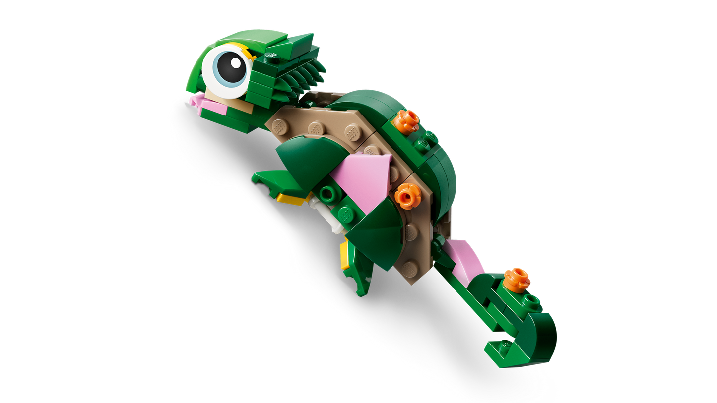 Turtle with a Water Lily Flower