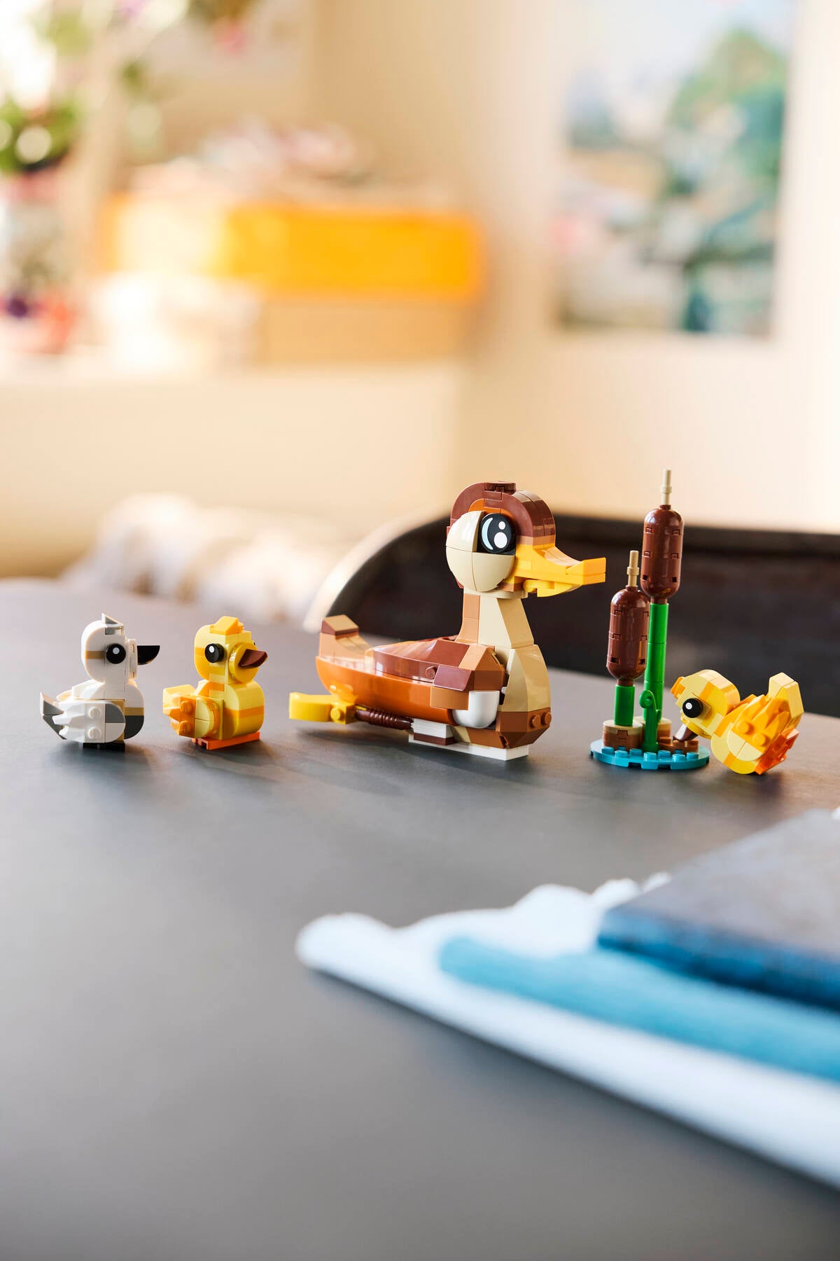 Duck Family