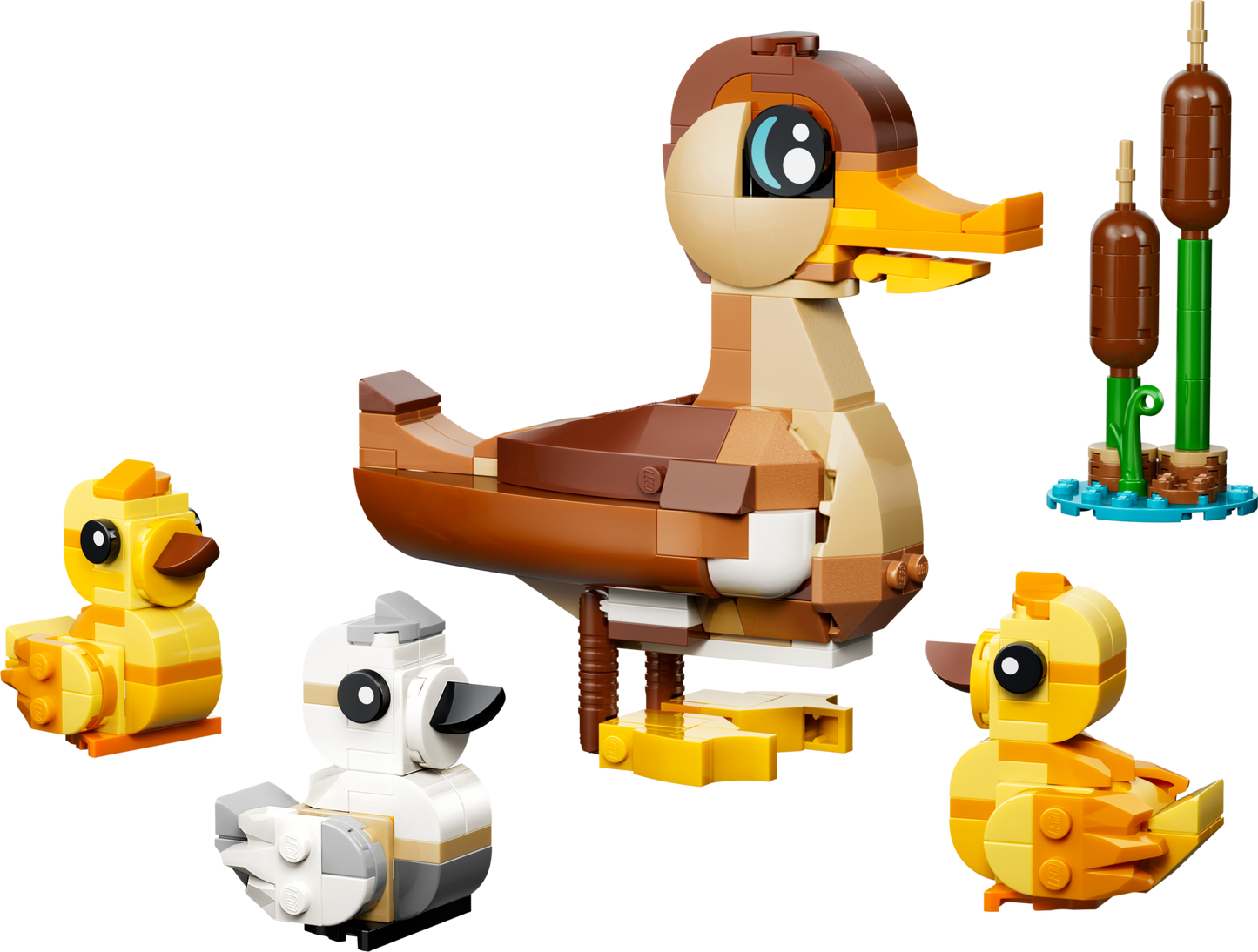 Duck Family