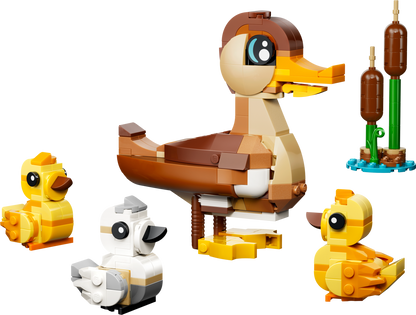 Duck Family