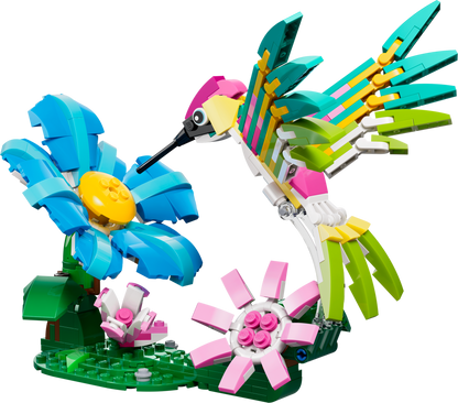 Wild Animals: Colorful Hummingbird