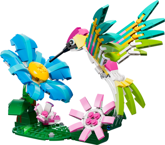 Wild Animals: Colorful Hummingbird