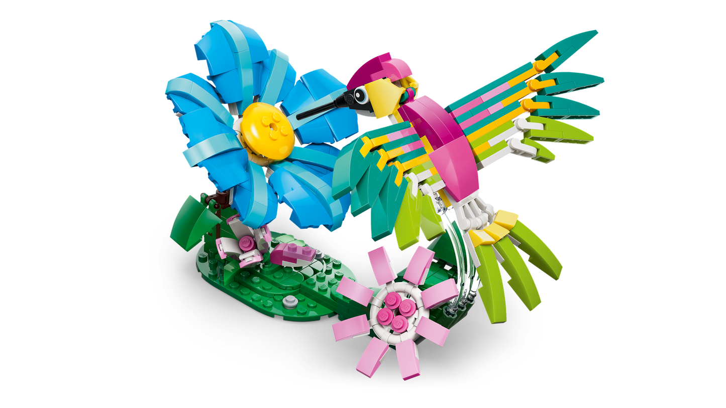 Wild Animals: Colorful Hummingbird