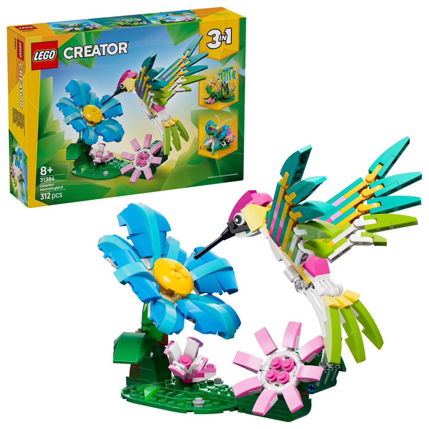 Wild Animals: Colorful Hummingbird