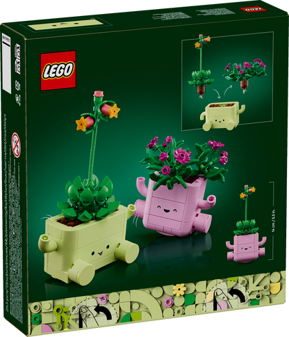 Rocking Plants