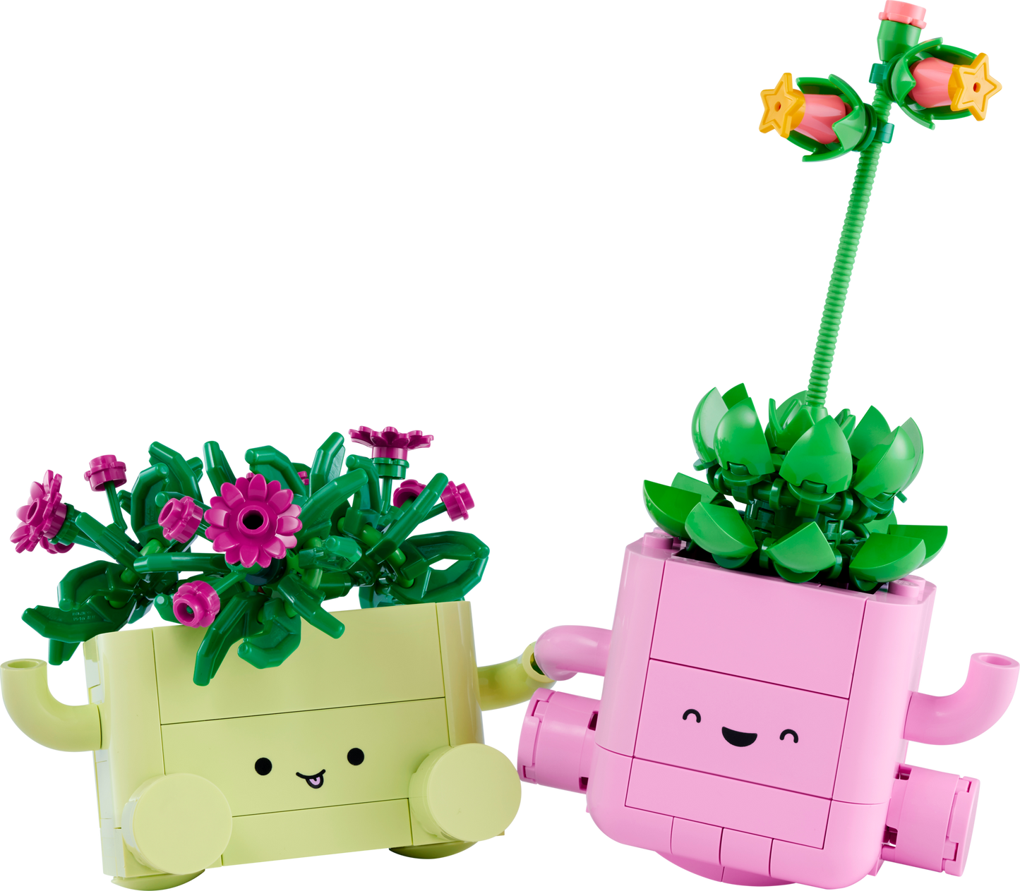 Rocking Plants