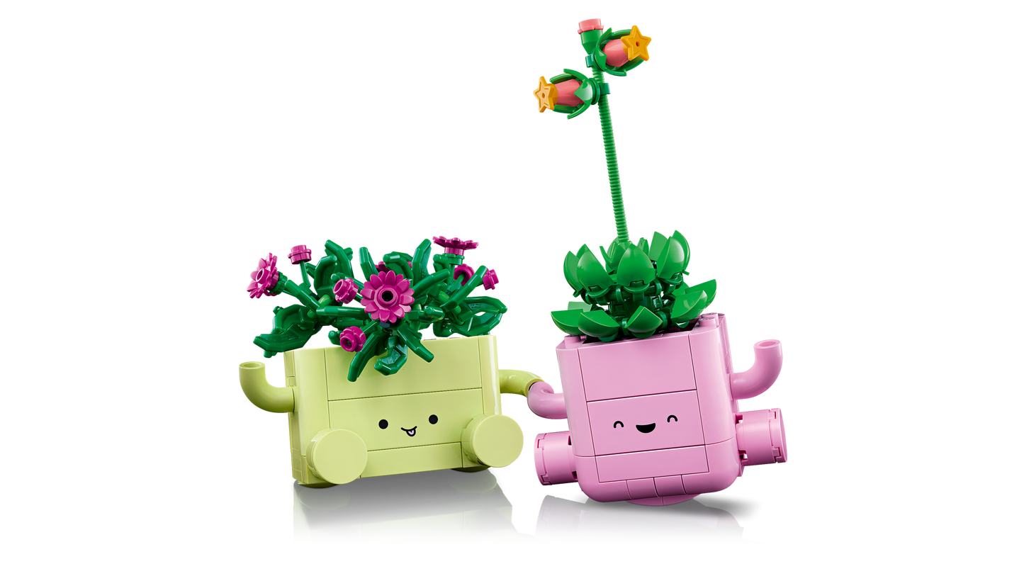 Rocking Plants