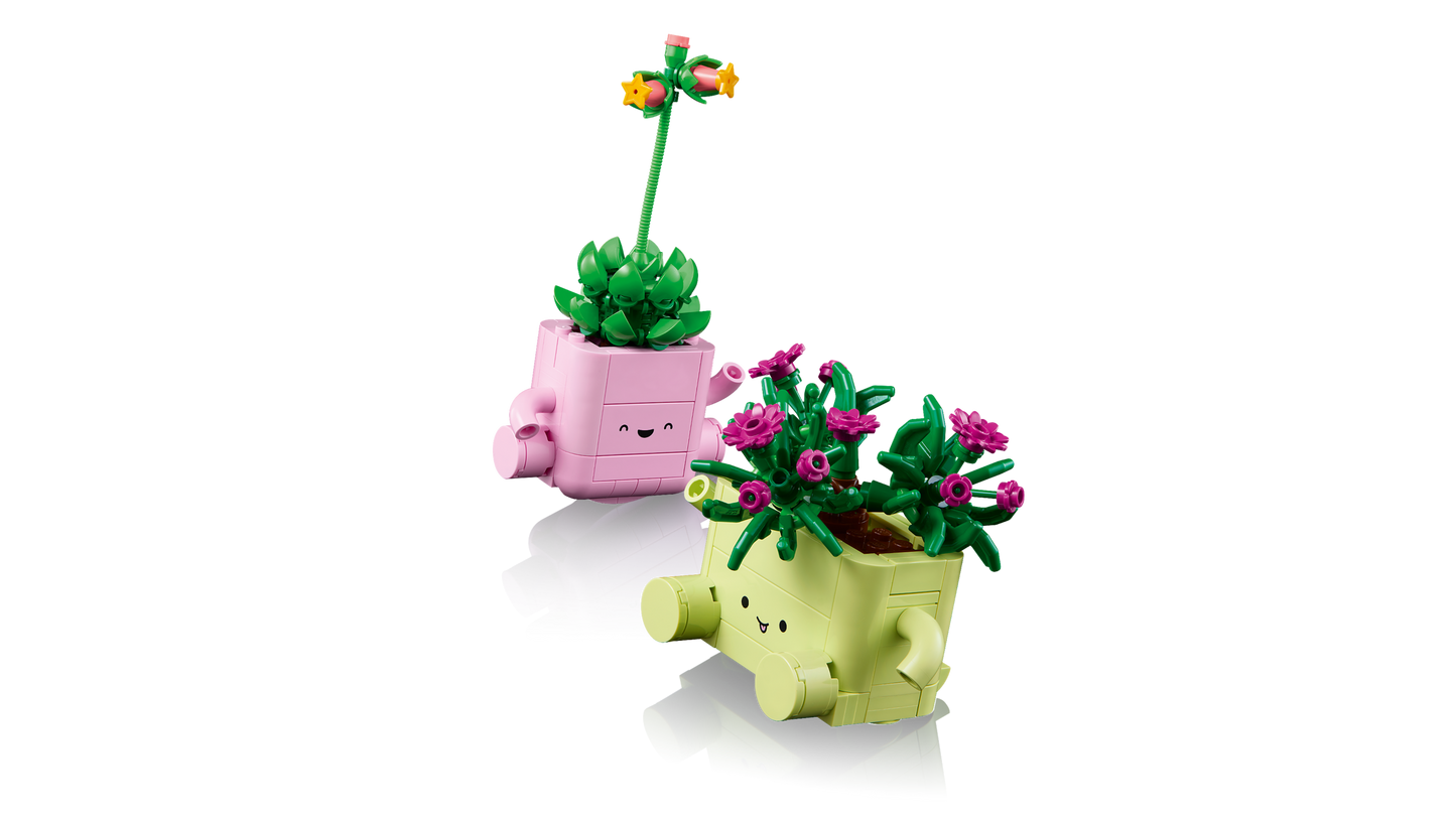 Rocking Plants