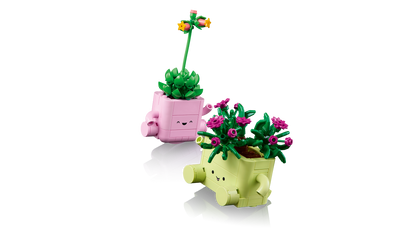 Rocking Plants