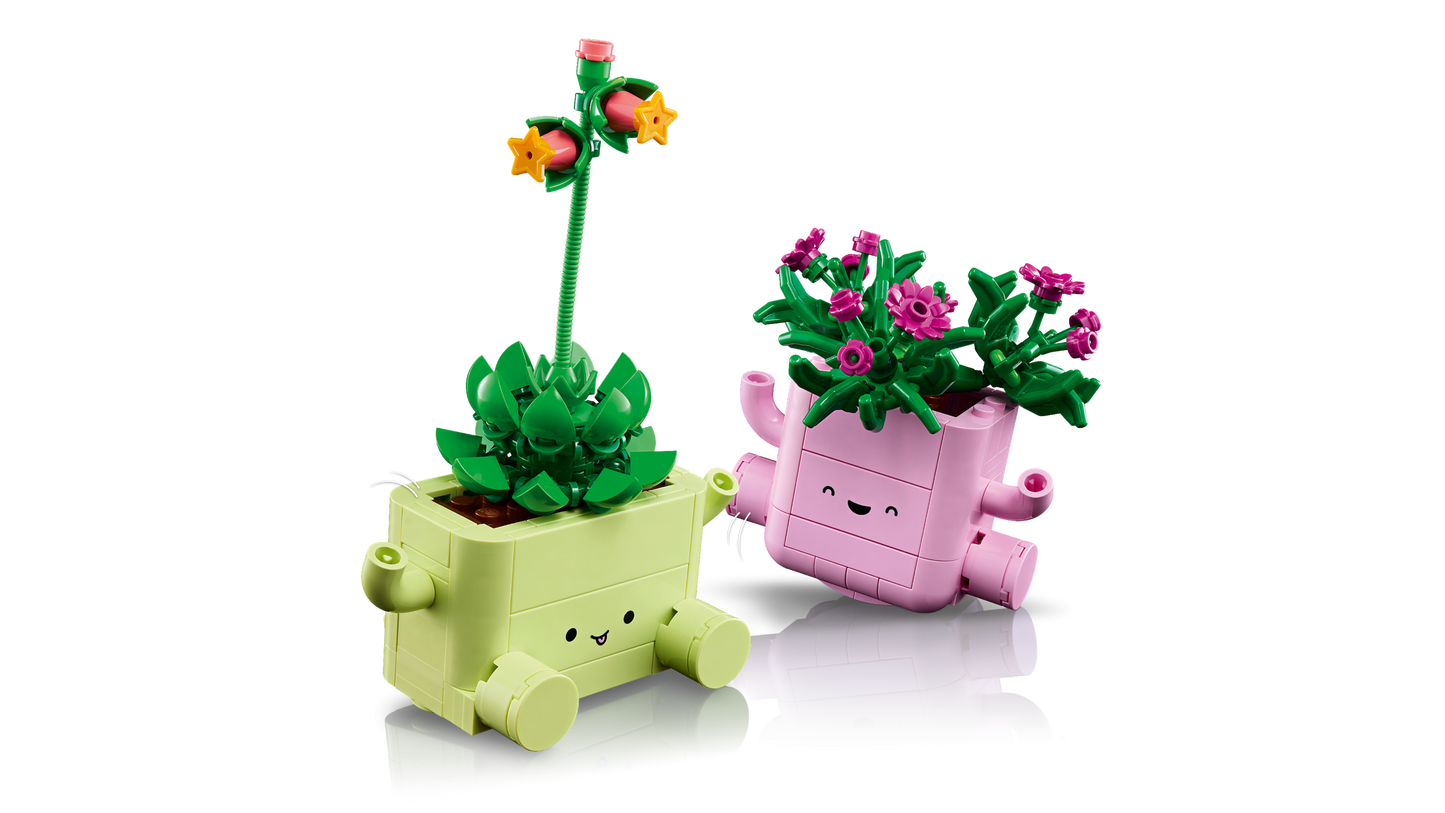 Rocking Plants