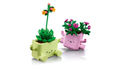 Rocking Plants