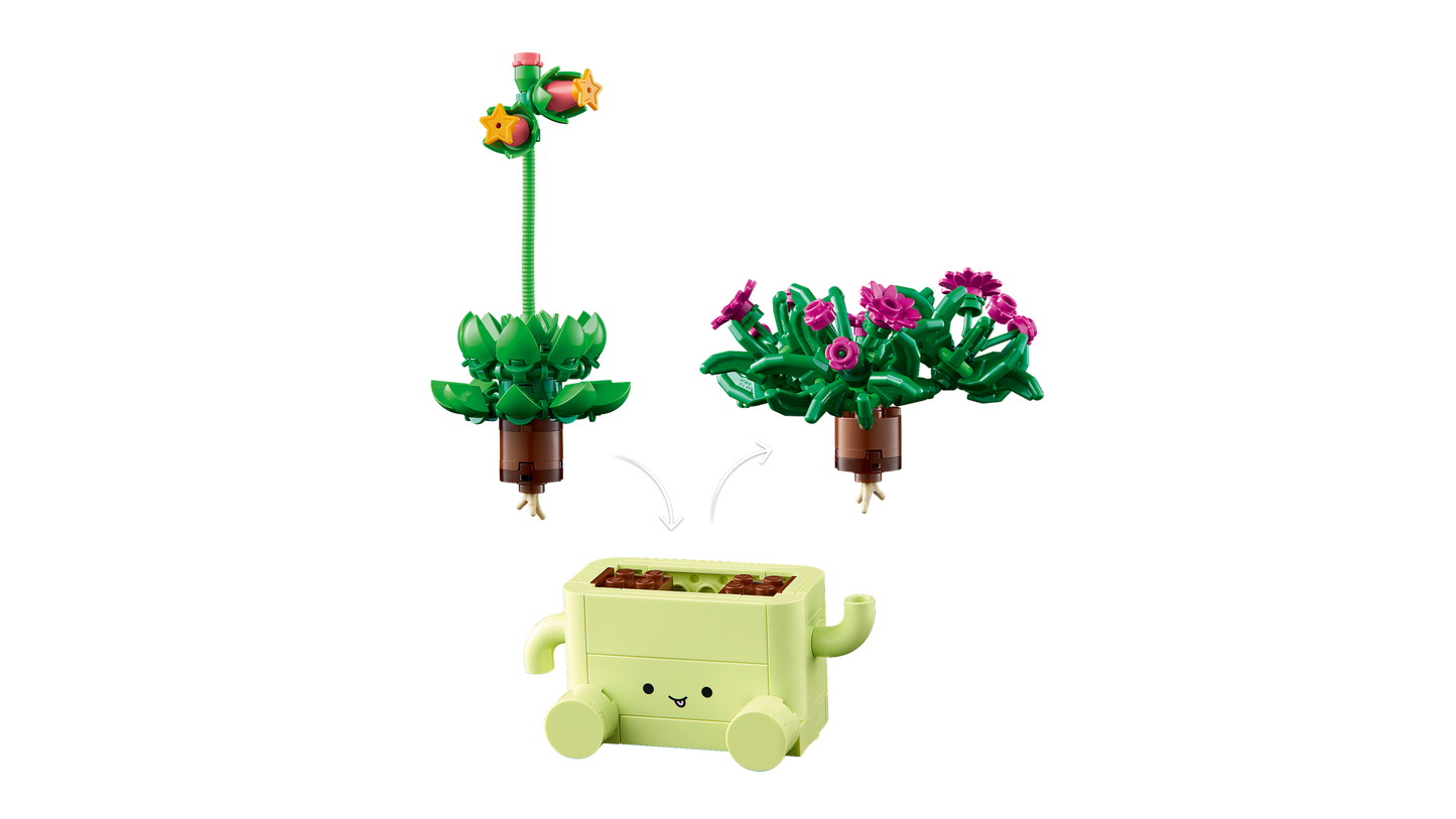 Rocking Plants