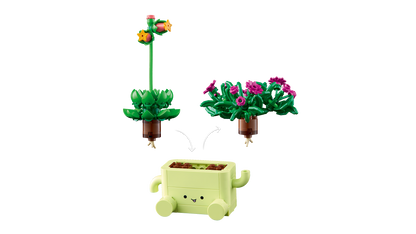 Rocking Plants