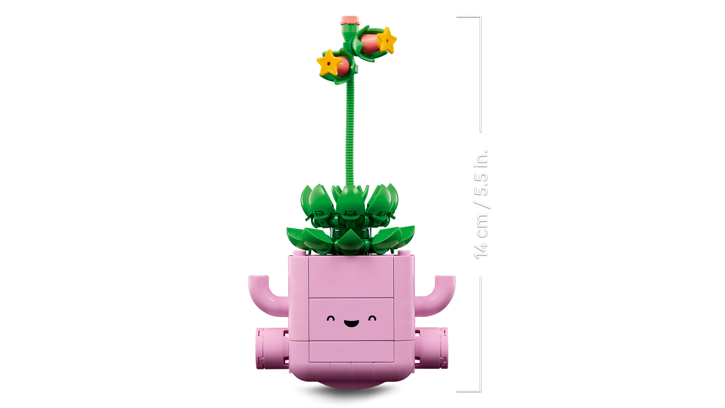 Rocking Plants