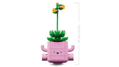 Rocking Plants