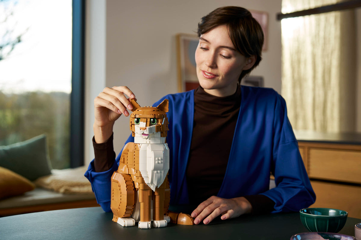 Orange Cat