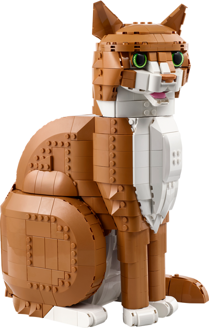 Orange Cat
