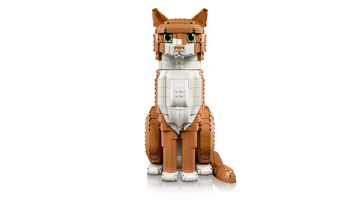 Orange Cat