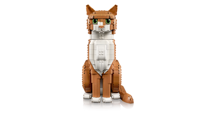 Orange Cat
