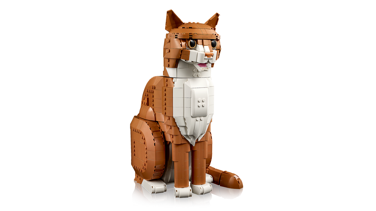 Orange Cat