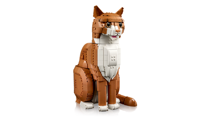 Orange Cat
