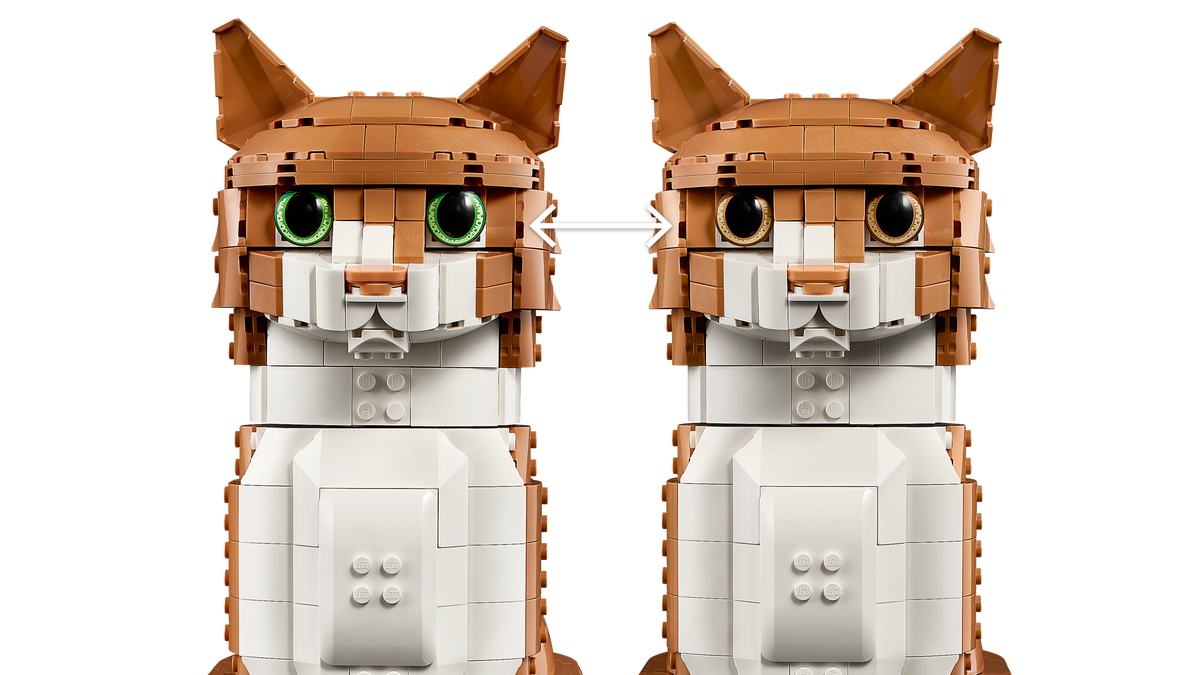 Orange Cat