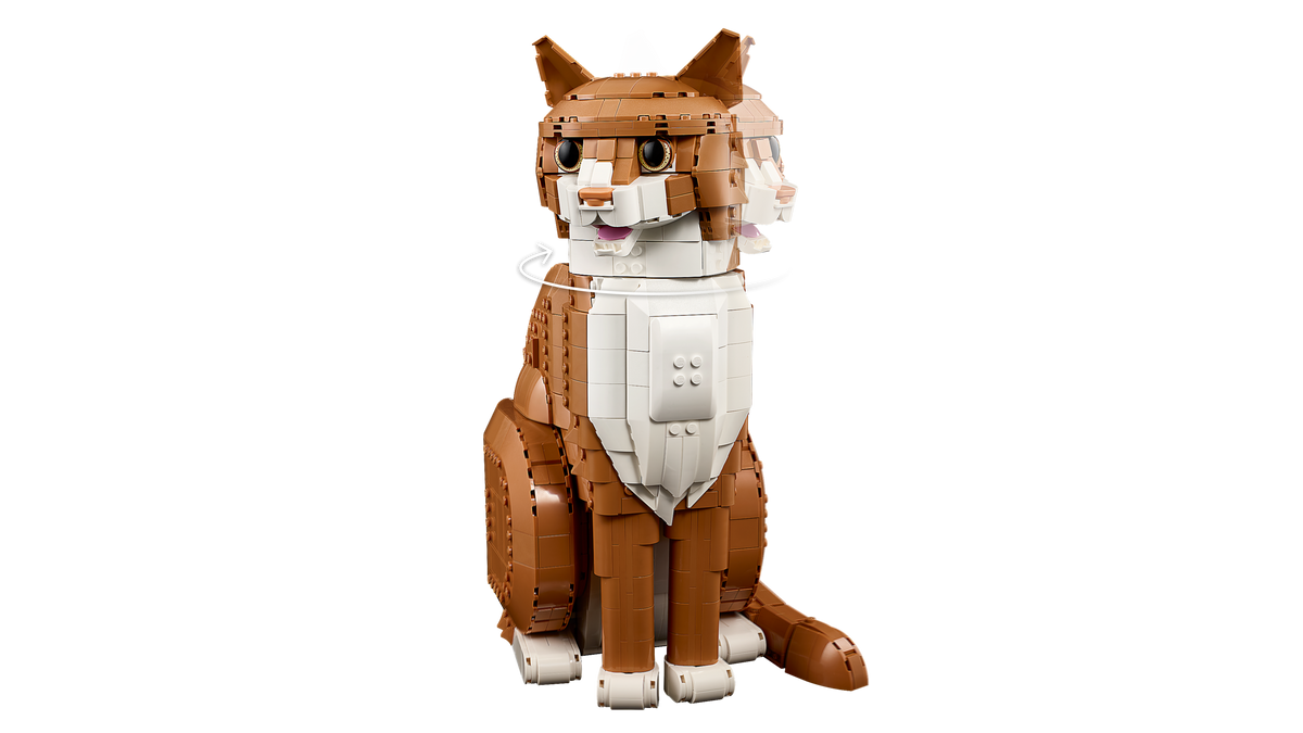 Orange Cat