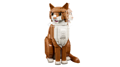 Orange Cat