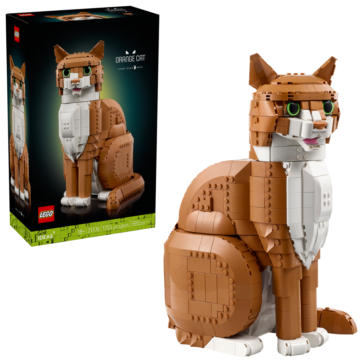 Orange Cat