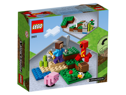 LEGO® set 21177