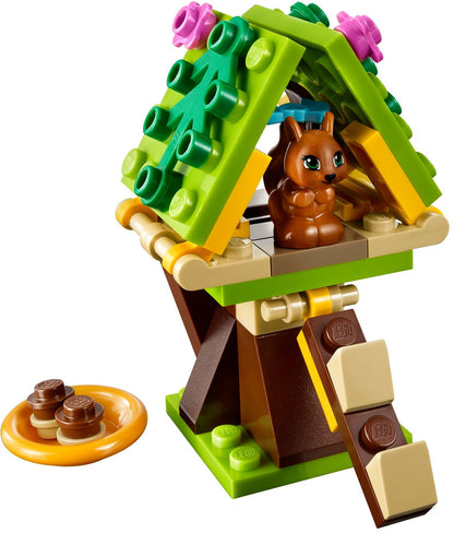 Squirrel's Tree House