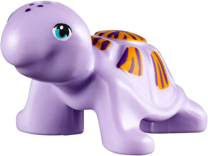 Turtle's Little Paradise