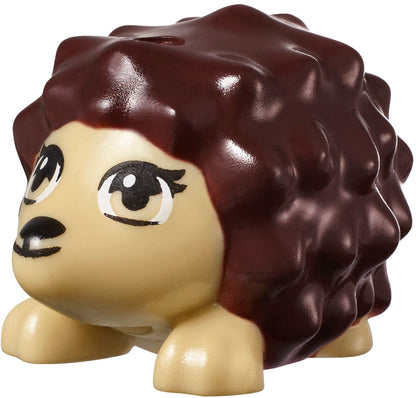 Adventure Camp Archery