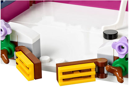 Snow Resort Ice Rink