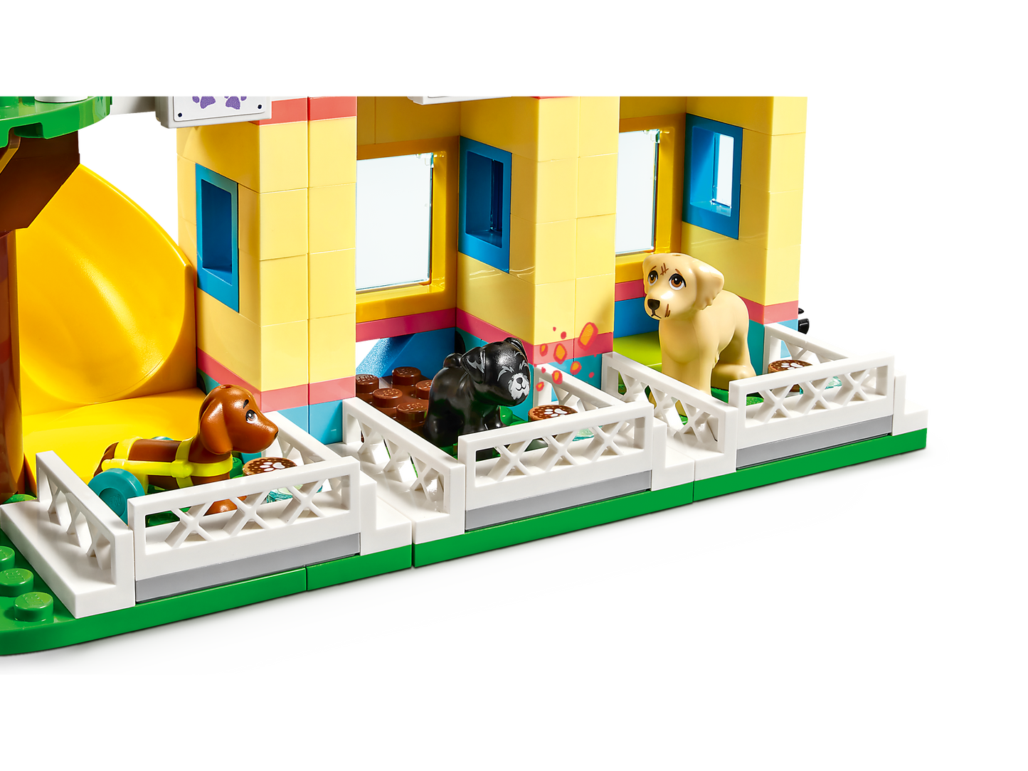 Dog Rescue Center
