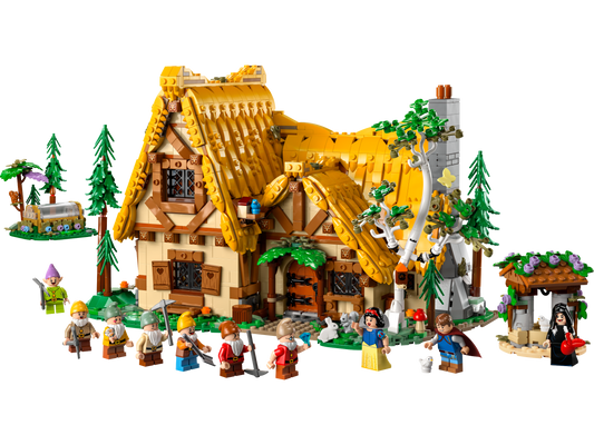 LEGO® set 43242