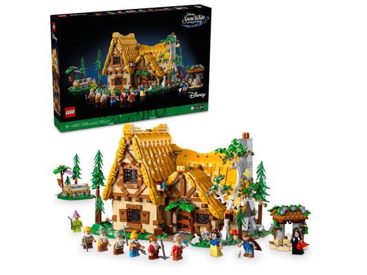 LEGO® set 43242