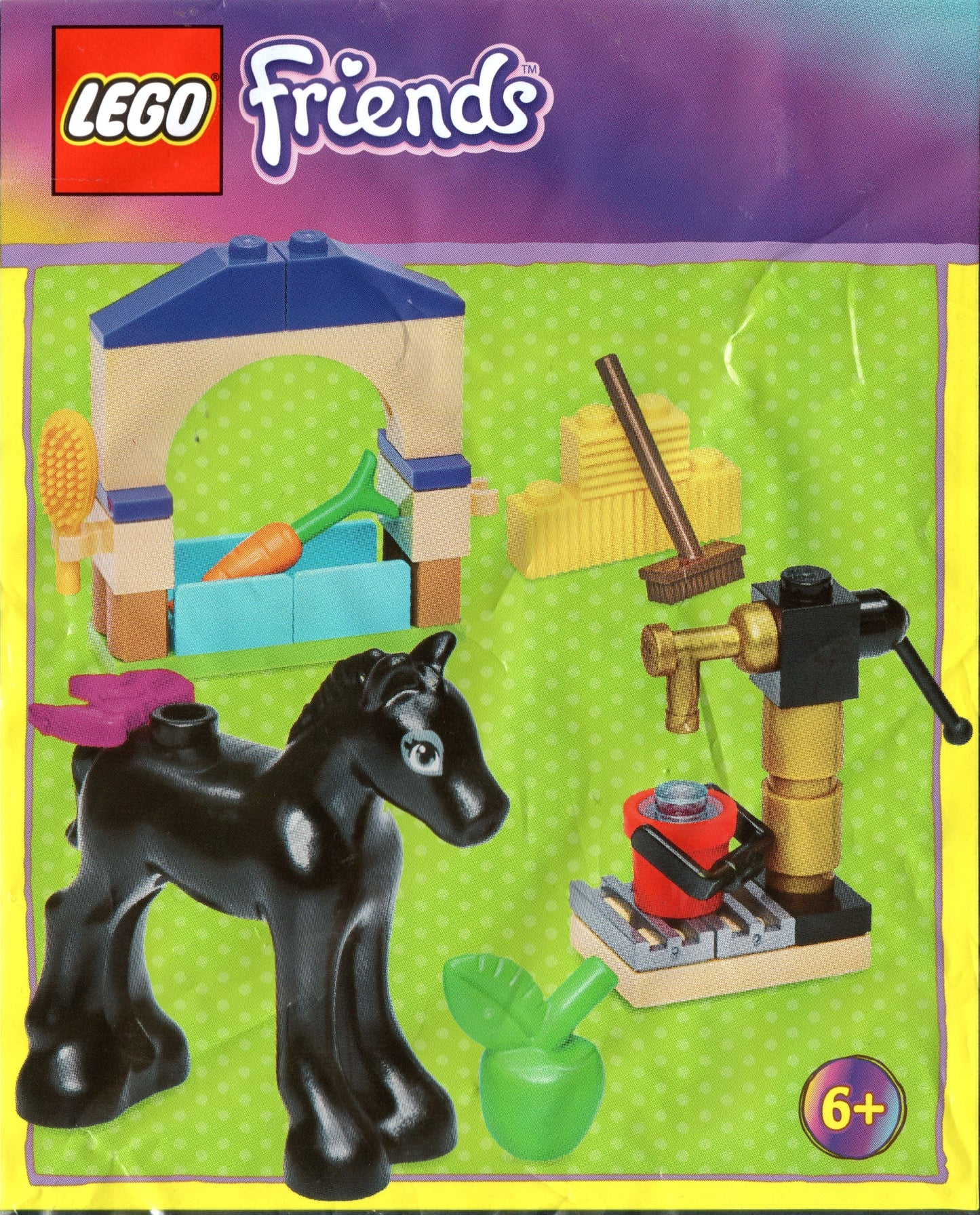 Cute Foal with Food and Water Pump